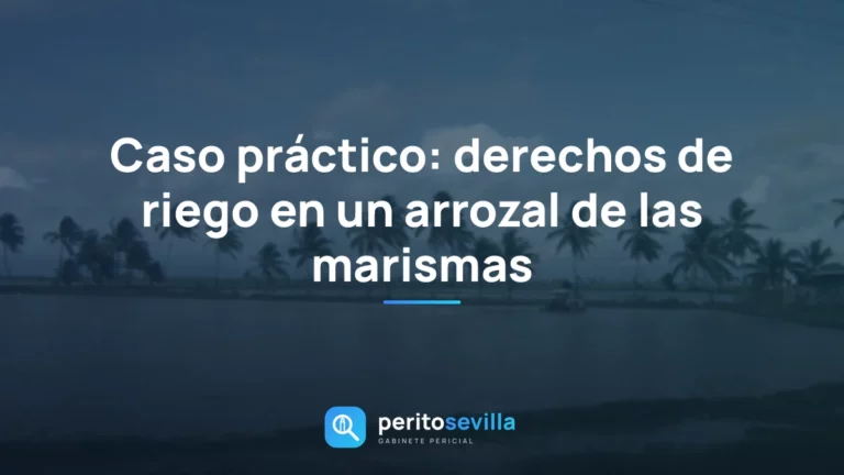 derechos de riego – PeritoSevilla