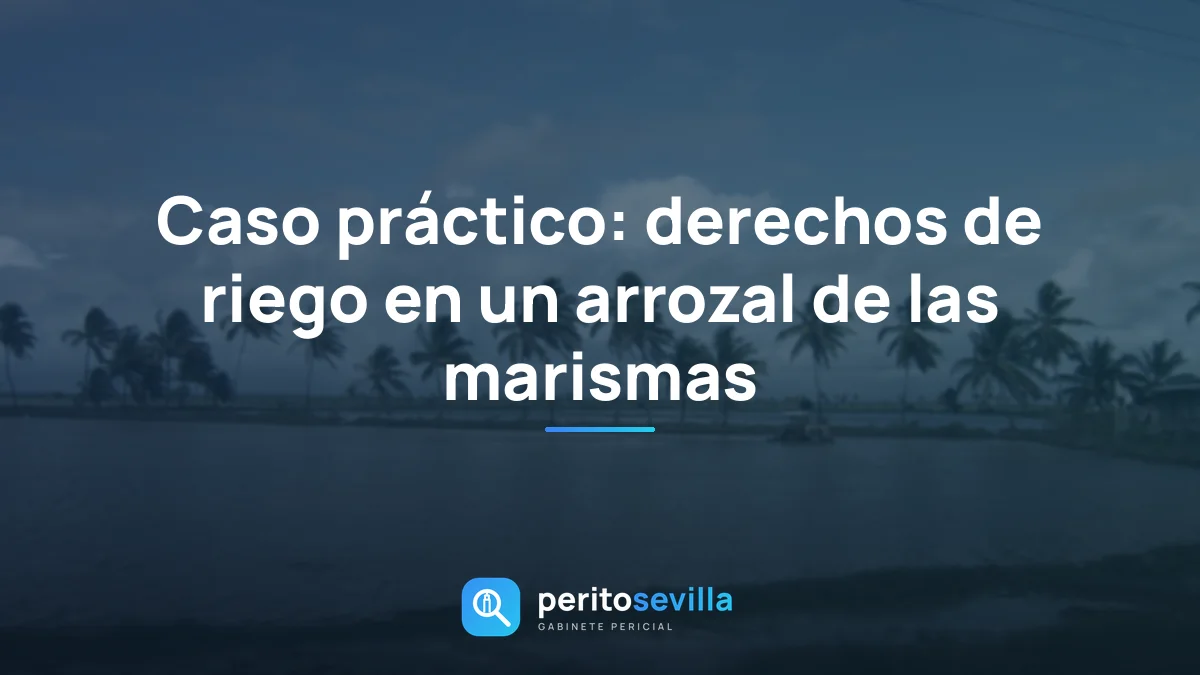 Caso práctico: derechos de riego en un arrozal de las marismas