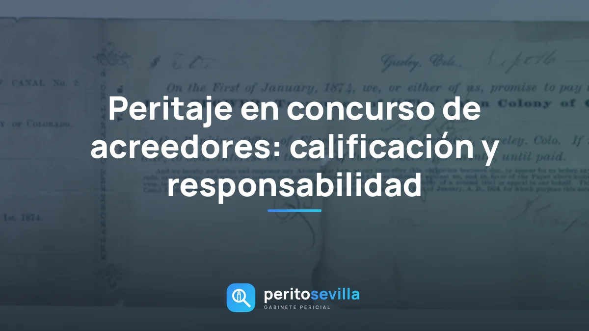peritaje en concurso de acreedores – PeritoSevilla