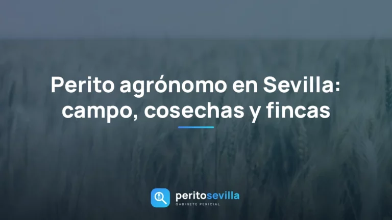perito agrónomo en Sevilla – PeritoSevilla