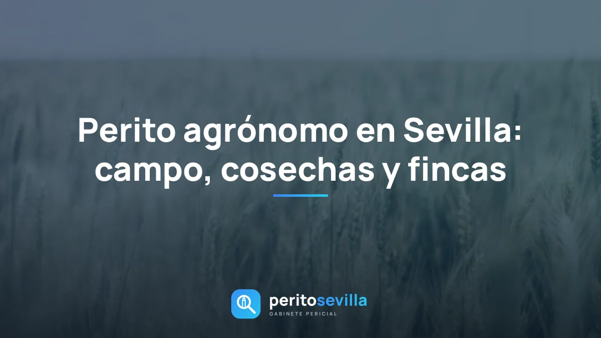 perito agrónomo en Sevilla – PeritoSevilla