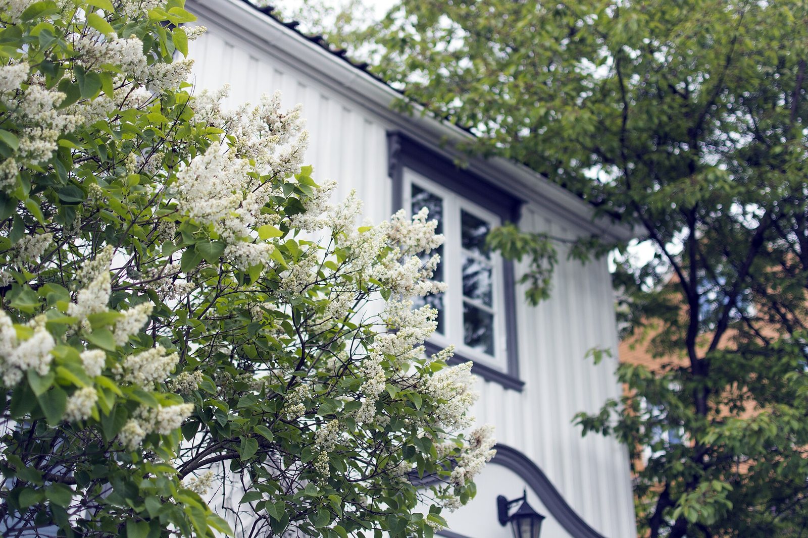 tasación de vivienda en divorcio